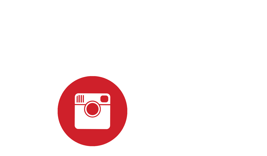 Instagram Logo in White